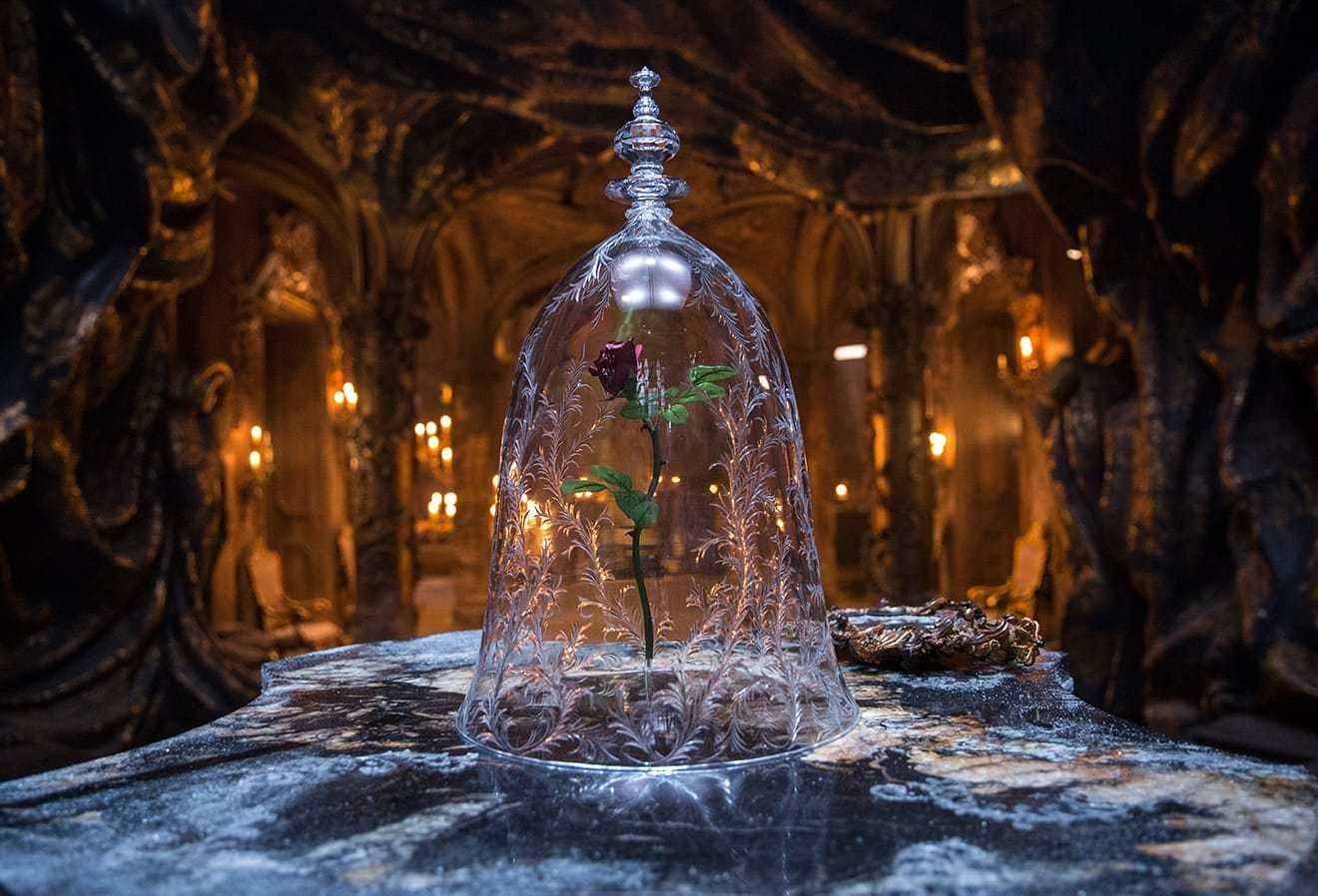 Sala de Estudos Encantada